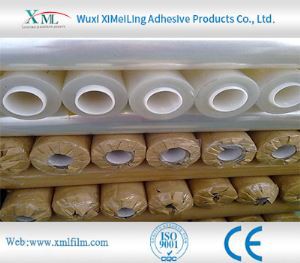 Film Pelindung Karpet